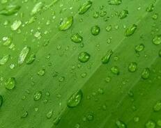 无锡厂区划线图最新：无锡工厂分布图？