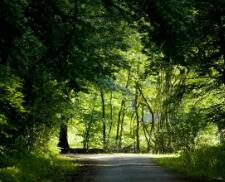 无锡厂区划线,无锡厂区划线最新消息